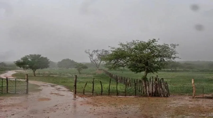 Chove em pelo menos 80 municípios da Paraíba de ontem para hoje; veja os índices oficiais