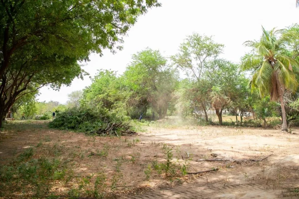 Prefeitura de Patos inicia poda e limpeza da área do futuro Parque Municipal da Criança