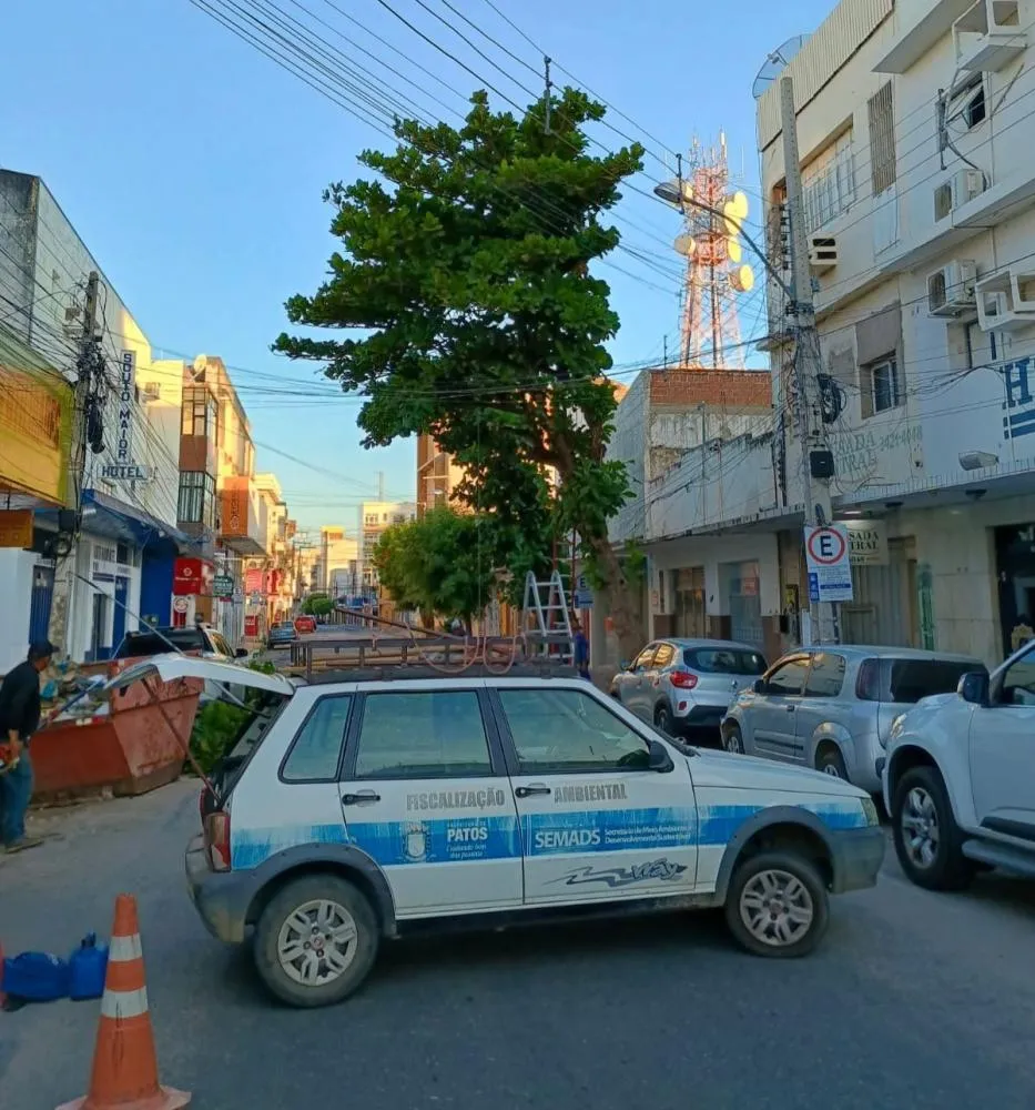SEMADS realiza retirada preventiva de árvore com risco iminente no Centro de Patos