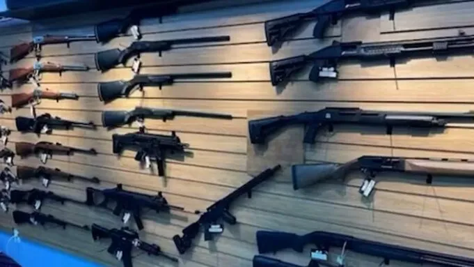 Suspeitos invadem clube de tiro, furtam 50 armas de fogo e mais de 3 mil munições em Esperança 
