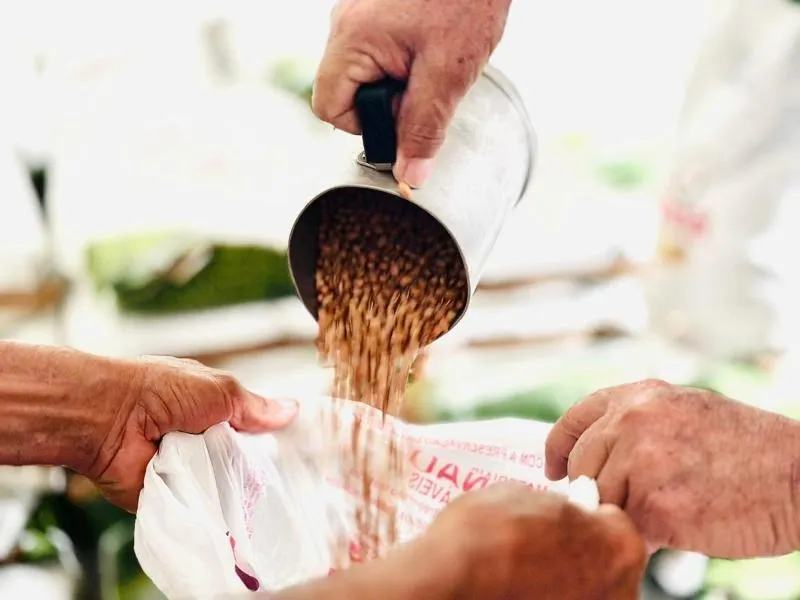 Agricultores e agricultoras de Patos podem retirar sementes de feijão, milho e o sorgo na sede da EMPAER