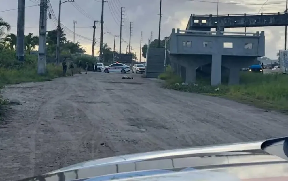 Corpo de homem com mãos amarradas e marcas de tiros é encontrado às margens da BR-230