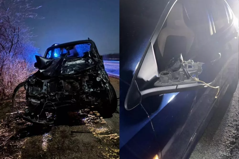 Animal solto na pista provoca acidente na BR-230, entre Patos e São Mamede, na noite deste domingo (1º)