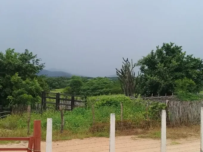 Mais de 100 cidades da Paraíba estão sob alerta de chuvas intensas até esta sexta-feira