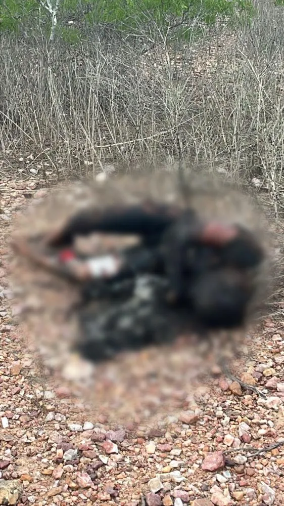 Corpo carbonizado é encontrado na zona rural de Soledade