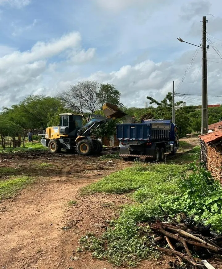 Prefeitura realiza mutirão de limpeza no bairro Sete Casas após queda de árvores