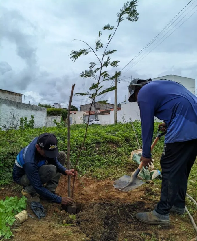 Prefeitura de Patos amplia arborização com plantio de árvores em diferentes pontos da cidade
