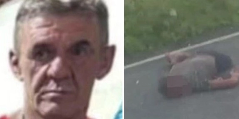 Vítima fatal de acidente em Boa Ventura já havia colidido com outro animal na pista há menos de dois anos