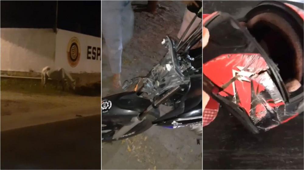 Vídeo: Cavalo solto na pista provoca acidente na madrugada desta segunda-feira (17), em Patos
