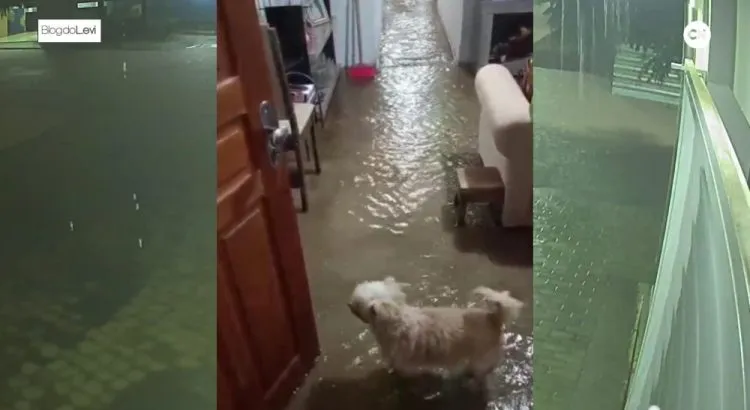 VÍDEO: Após chuva de 140 mm, Canal do Estreito transborda, ruas viram rios e casas são alagadas em Sousa.