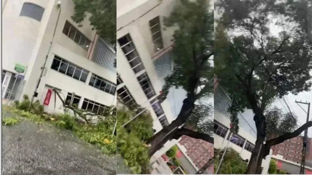 Parte de caibreira cai durante chuva no centro de Patos