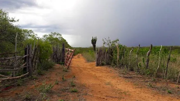 Chove em pelo menos 130 municípíos da Paraíba de ontem para hoje; veja os índices oficiais