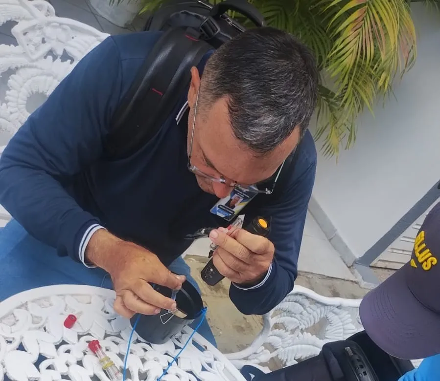 Vigilância Ambiental de Patos retira quase 6 mil ovos do mosquito Aedes aegypti com uso de ovitrampas