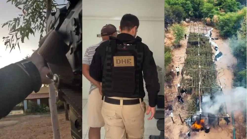 VÍDEO: DHE de Patos prende chefe e integrantes de esquema que mantinha 200 mil pés de maconha no Sertão