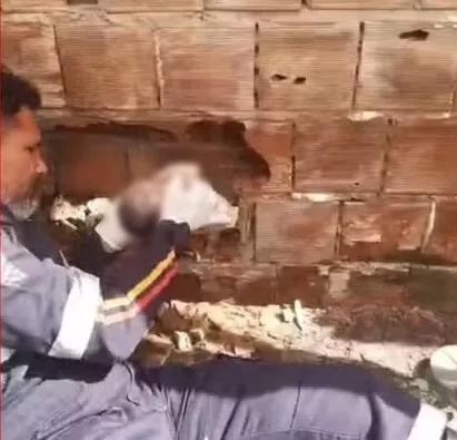 VÍDEO: Recém-nascido abandonado entre muros é encontrado vivo por moradores, na Paraíba