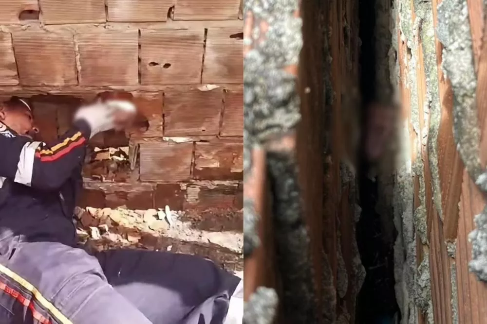 Polícia identifica mãe de recém-nascido encontrado abandonado no Litoral Sul da Paraíba; adolescente escondeu gravidez da família
