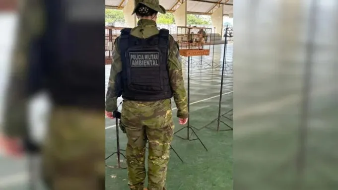 Operação flagra competição ilegal de aves em Jericó, no Sertão da Paraíba