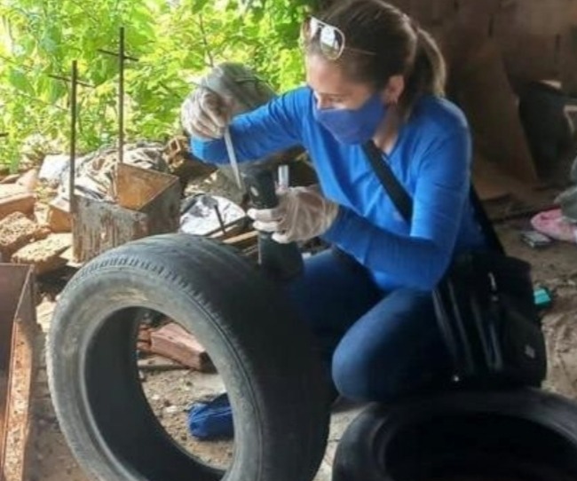Prefeitura de Patos divulga queda na infestação do Aedes aegypti 