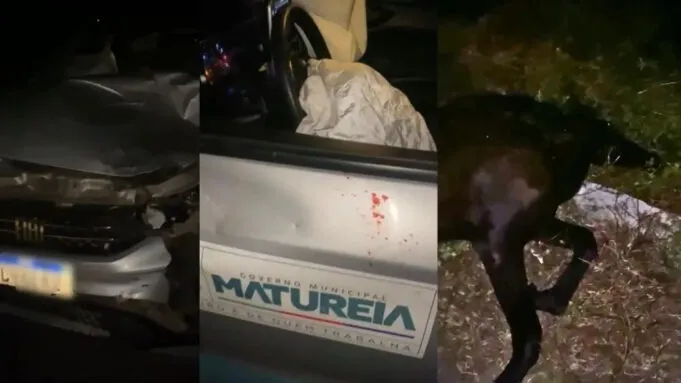 Veículo da Prefeitura de Matureia colide com animal entre Patos e São José do Bonfim; ninguém fica ferido