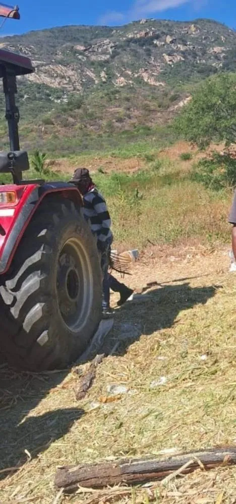Prefeitura de Cacimba de Areia subsidia silagem para produtores rurais