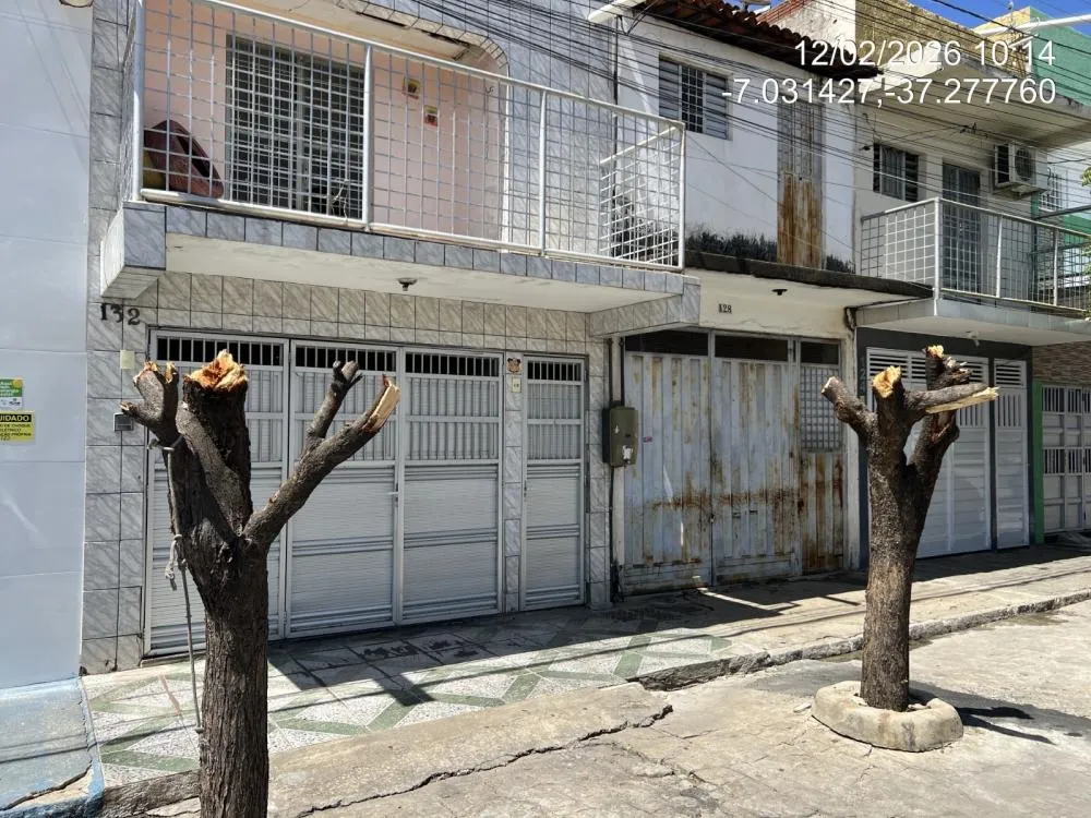 SEMADS intensifica fiscalização contra poda drástica de árvores em Patos