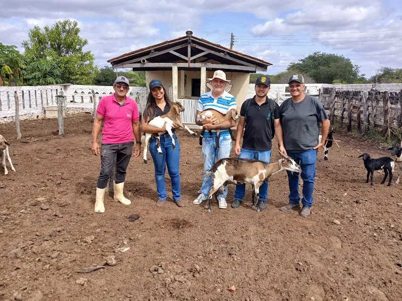 PROMAP leva assistência veterinária a produtores da zona rural de Patos