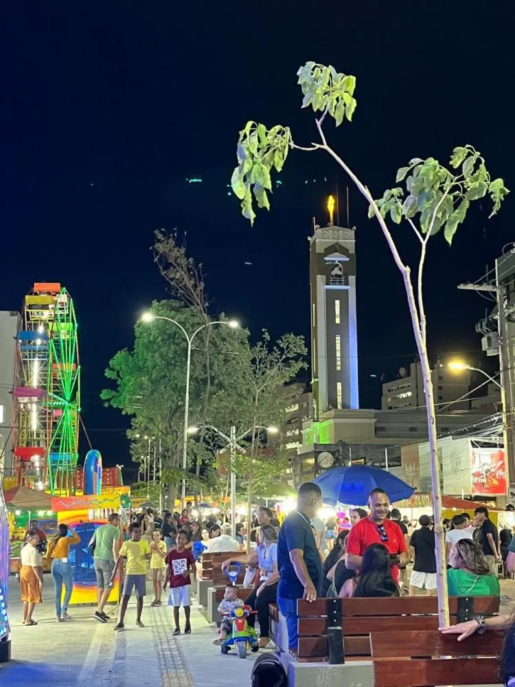 Fotos/Assessoria