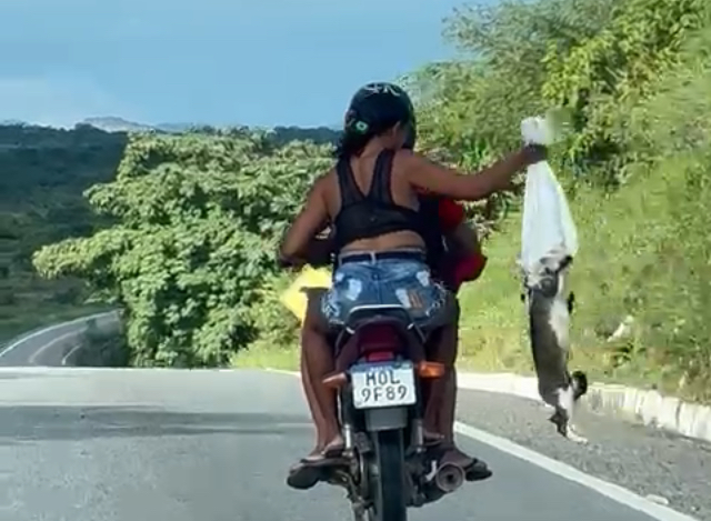 Vídeo: Polícia Civil em Piancó identifica casal que praticou crime de maus tratos contra animais