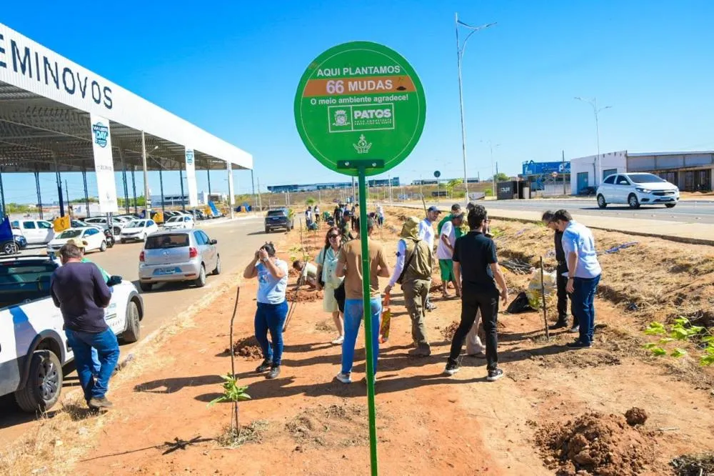 Em comemoração ao Dia da Árvore, Patos ganha mini bosque na Alça Sudeste