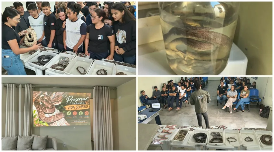 Fotos/Assessoria