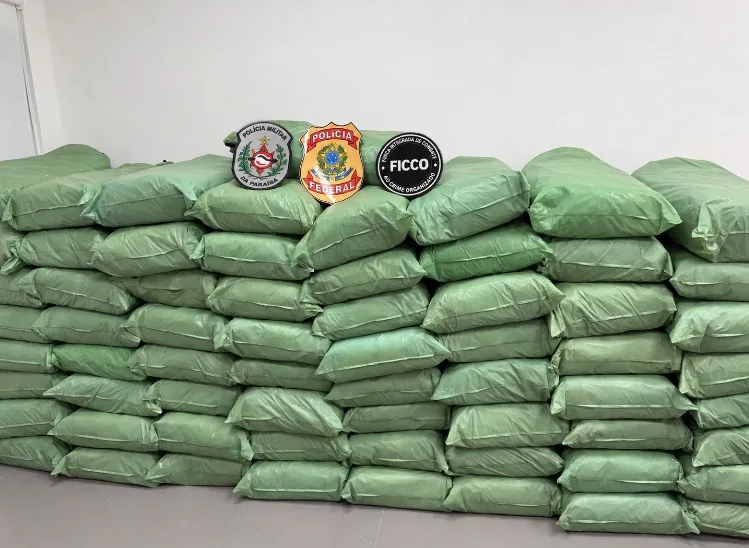 Polícias Militar e Federal apreendem mais de meia tonelada de maconha em Água Branca