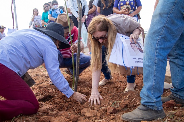 Uma parceria entre Prefeitura, UFCG e Mães de Pietá, projeto Árvores da Vida realiza o plantio de mais 24 mudas
