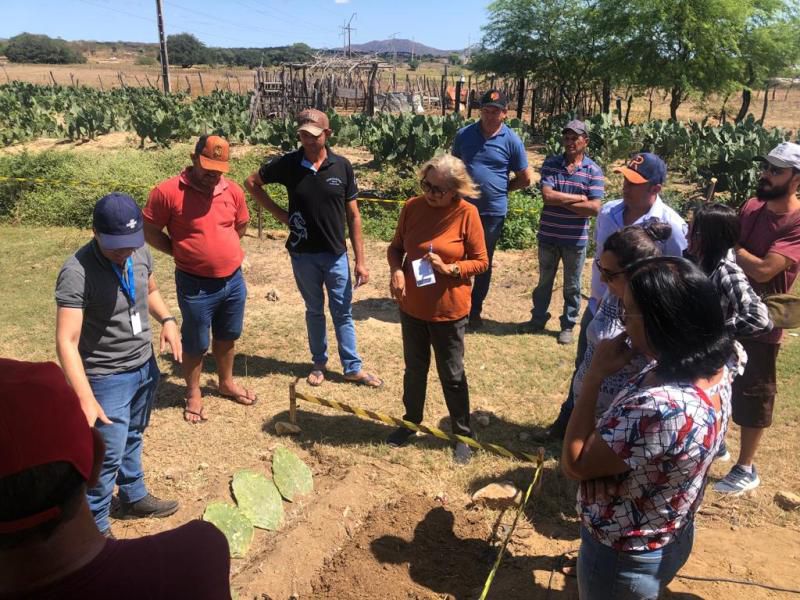 Prefeitura de Patos promove manhã de campo sobre o cultivo da palma forrageira