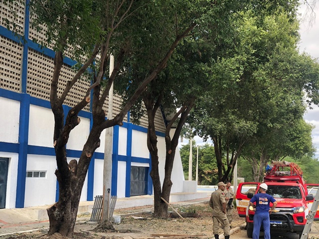 SEMADS realiza vistoria e poda das árvores garantindo segurança à população que em breve utilizará o ginásio ‘O Rivaldão’