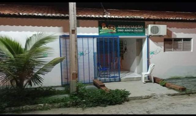 Adota Patos abre agendamento para cirurgias de castração de cães e gatos e cuidadores interessados devem procurar sede da entidade