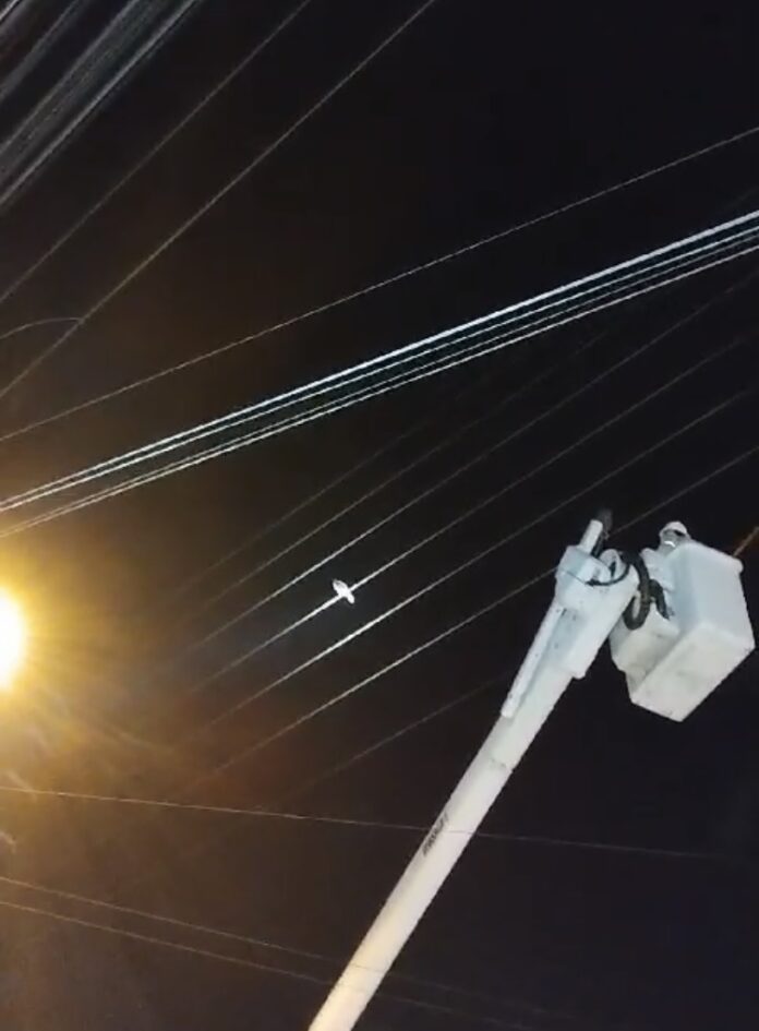 Vídeo: Eletricistas resgatam pato que foi parar na rede de energia, na PB