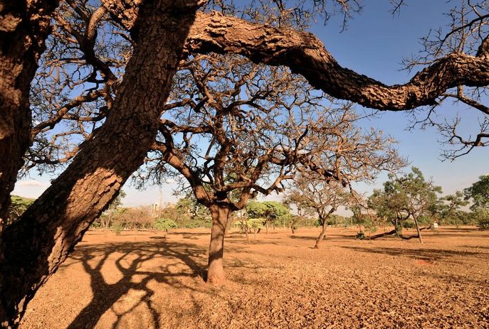 Mais de 50 cidades da PB estão em alerta amarelo de onda de calor