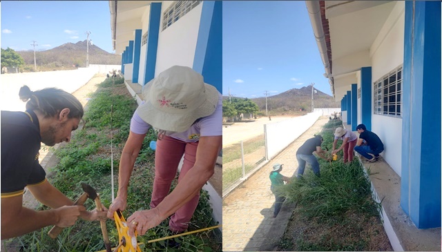 Mais uma etapa do Projeto de Arborização é realizado em São José do Bonfim