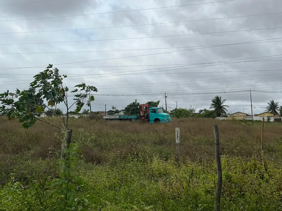 Idoso morre após ser atropelado pelo próprio caminhão durante manutenção