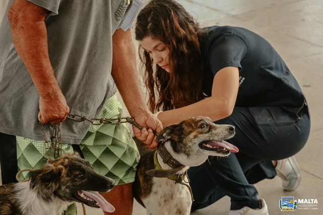 EM MALTA: SECRETARIA DA SAÚDE PROMOVEU MAIS UMA CAMPANHA VACINAÇÃO ANTIRRÁBICA PARA CÃES E GATOS NO MUNICÍPIO