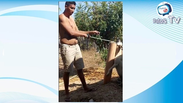 Homem é preso após espancar a esposa, matar o cachorro do vizinho enforcado e filmar a cena 