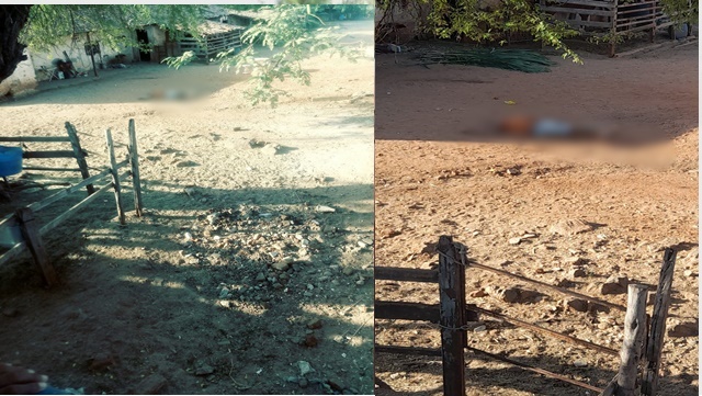 Carloto é executado a tiros quando estava em baia de cavalos próximo da ponte do Juá Doce, em Patos