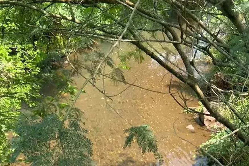 Criança é estuprada após ser convidada por homem para nadar em lago, diz PM