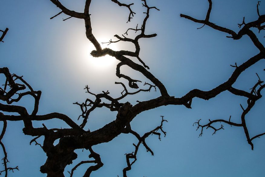 Temperaturas atingem nível recorde pelo quarto mês seguido em todo o Brasil