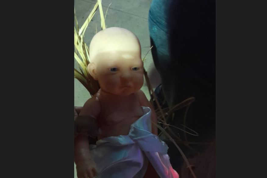 Menino Jesus é recuperado após polícia descobrir que mulher com problemas psiquiátricos tinha levado pra casa: 