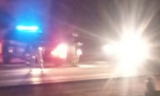 Colisão entre carro e animal é registrada na noite desta segunda-feira (11) na BR-230, em Condado-PB