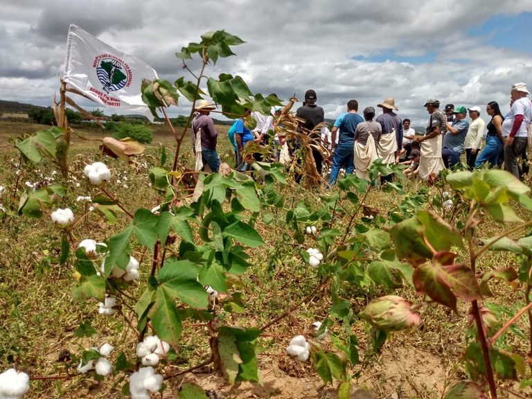 Governo do Estado paga 1ª parcela do Incluir Paraíba para famílias agricultoras