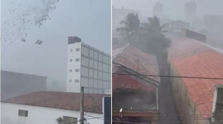 VÍDEO: RASTRO DE DESTRUIÇÃO: Tempestade derruba postes, árvores sobre carros e deixa parte de Itaporanga sem energia