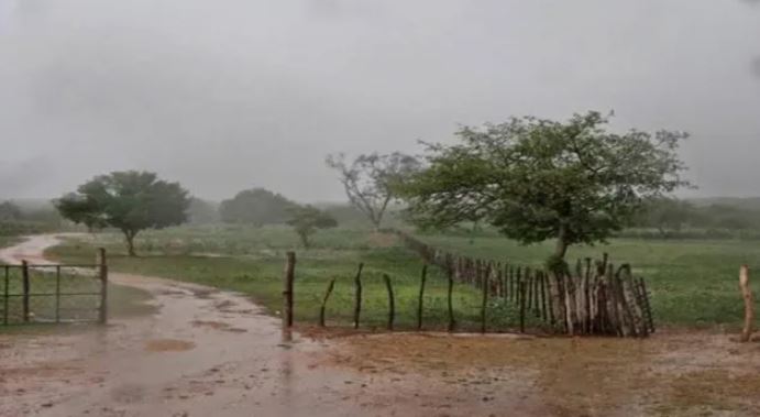 2023 encerrou com chuvas na Paraíba: chove em mais de 80 municípios de ontem para hoje. Veja os índices oficiais